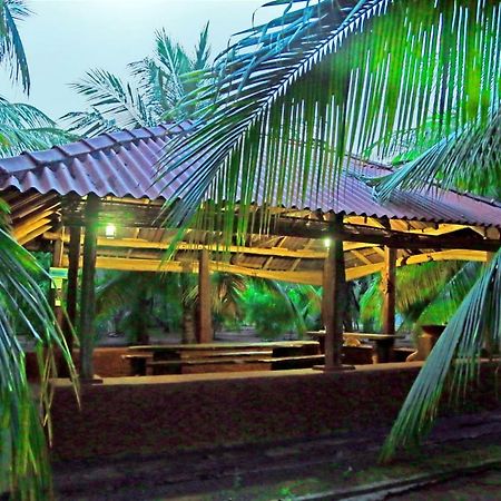 Heina Nature Resort - Eco Home And Yala Safari 카타라가마 외부 사진