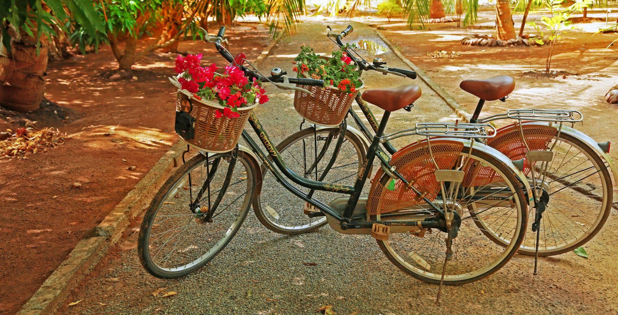 Heina Nature Resort - Eco Home And Yala Safari 카타라가마 외부 사진