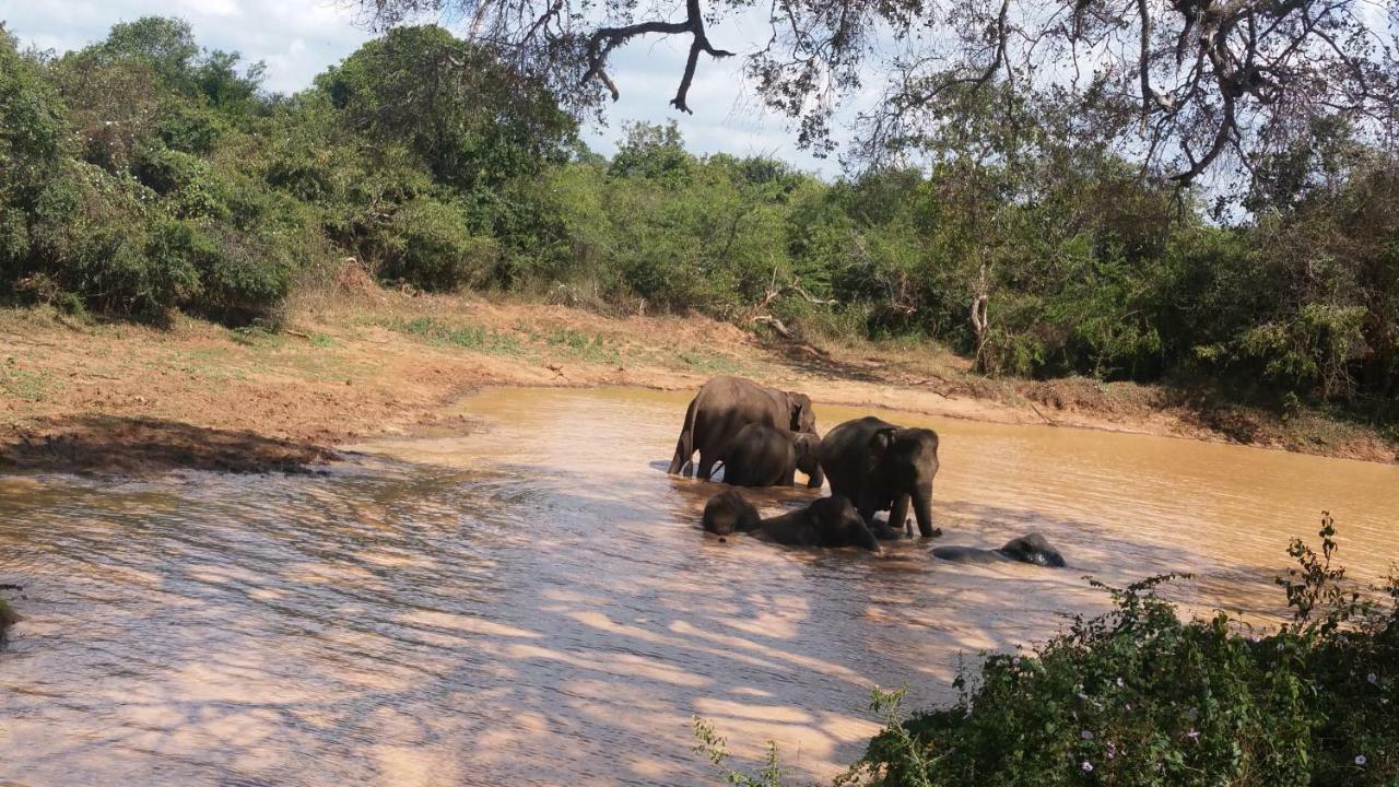 Heina Nature Resort - Eco Home And Yala Safari 카타라가마 외부 사진